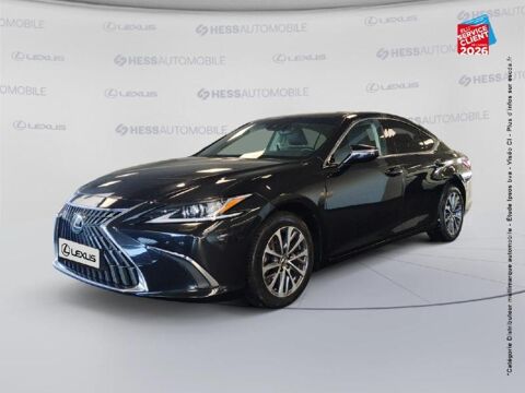 Lexus ES 300h Business MY25 2024 occasion Souffelweyersheim 67460