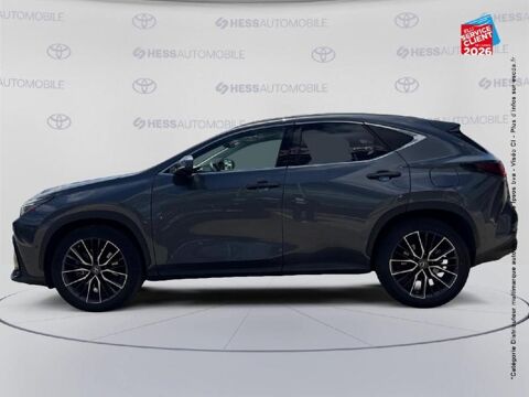 NX 450h+ Executive 4WD MY24 2022 occasion 25000 Besan&ccedil;on