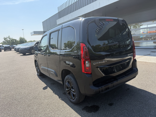 Berlingo M 1.5 BLUEHDI 130CH S&S MAX BVA8 5 PLACES 2026 occasion 31670 Lab&egrave;ge