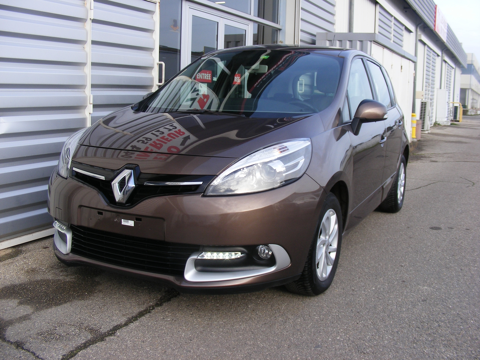 Renault Sc&eacute;nic III III 1.5 DCI 110CH ENERGY BUSINESS ECO&sup2; 2013 occasion Salaise-sur-Sanne 38150