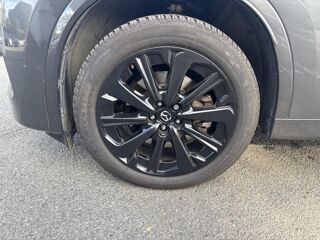 CX-80 3.3 e-SKYACTIV D 254ch Homura Plus 2024 occasion 78750 Mareil-Marly