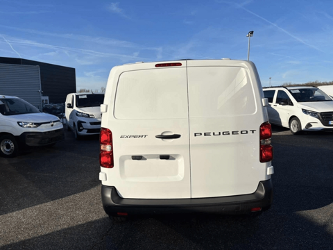 Expert M 1.5 DIESEL 120CH 2025 occasion 31670 Lab&egrave;ge