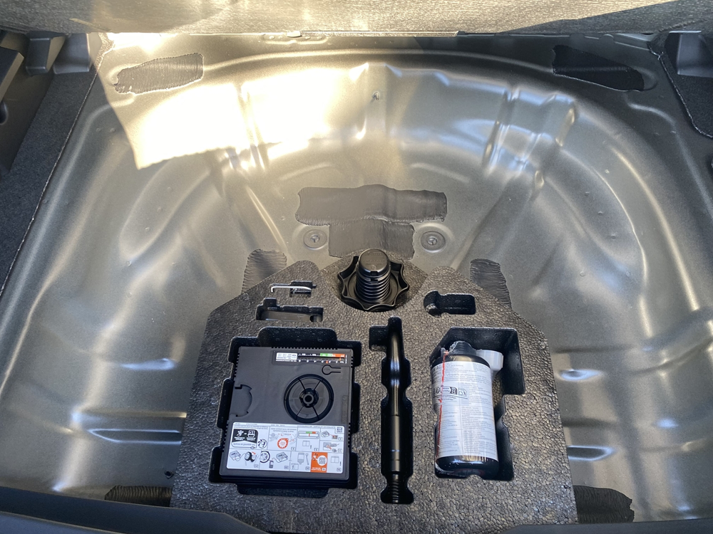 Formentor 2.0 TDI 150CH V DSG7 2026 occasion 31670 Lab&egrave;ge