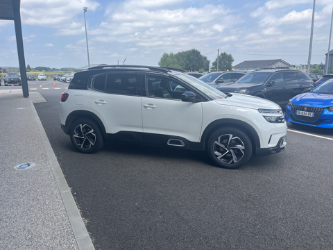 C5 aircross BLUEHDI 130CH S&S SHINE 2020 occasion 65420 Ibos