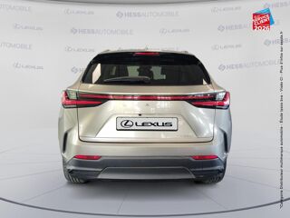 NX 350h Luxe 4WD 2022 occasion 67460 Souffelweyersheim