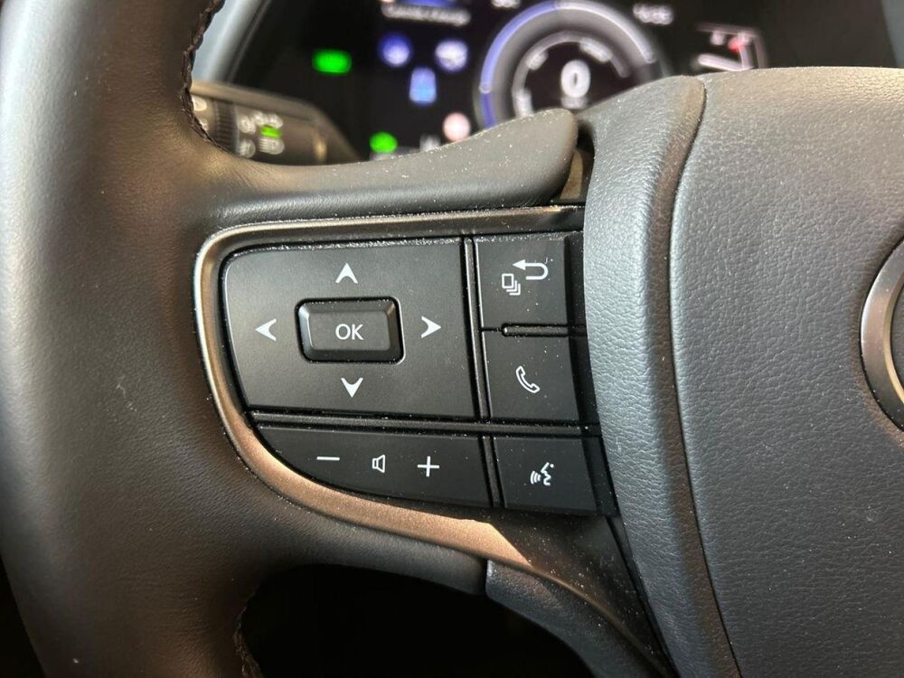 UX 250h F SPORT Design 2WD 2023 occasion 13290 Les Milles
