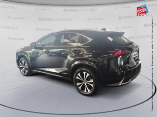 NX 300h 2WD Design MY21 2021 occasion 67460 Souffelweyersheim