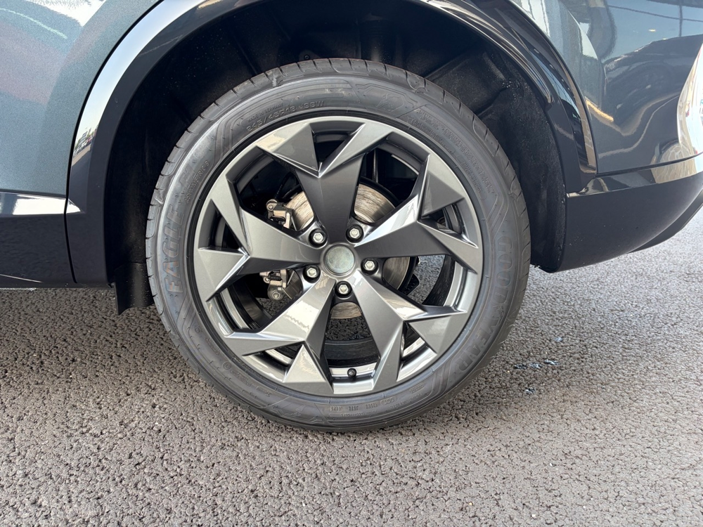Formentor 2.0 TDI 150CH V DSG7 2026 occasion 81000 Albi