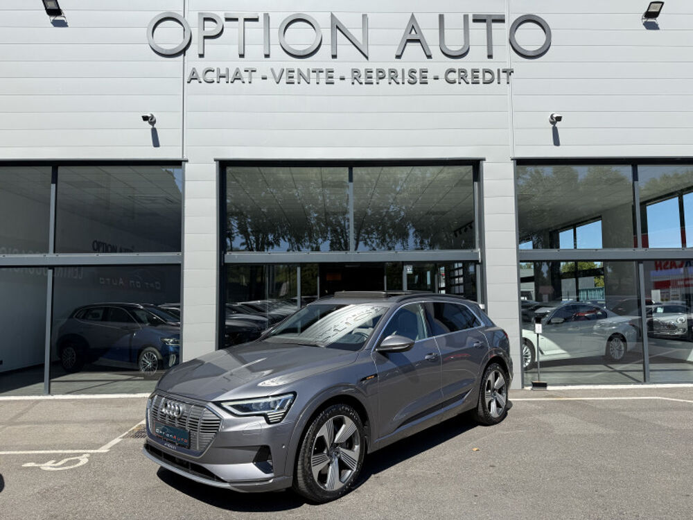 E-TRON 55 408CH AVUS E-QUATTRO 2019 occasion 31140 Aucamville