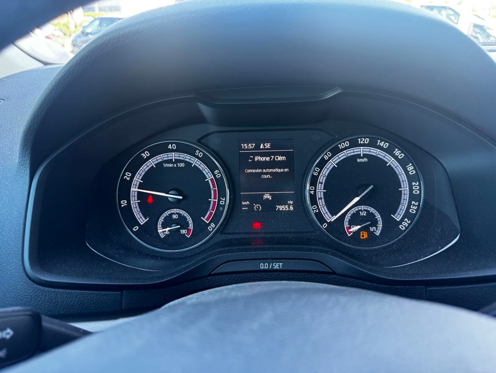 Karoq 1.0 TSI 116CH AMBITION EURO6D-T 2019 occasion 65420 Ibos