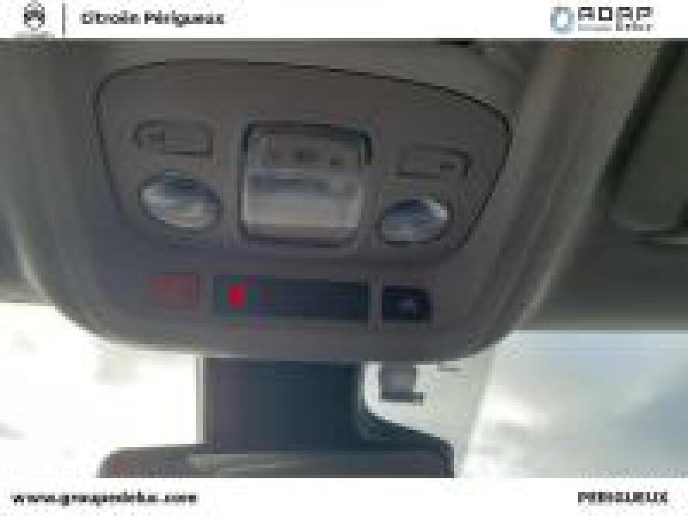C3 Aircross BlueHDi 110ch S&S Shine Business 2021 occasion 24750 Tr&eacute;lissac