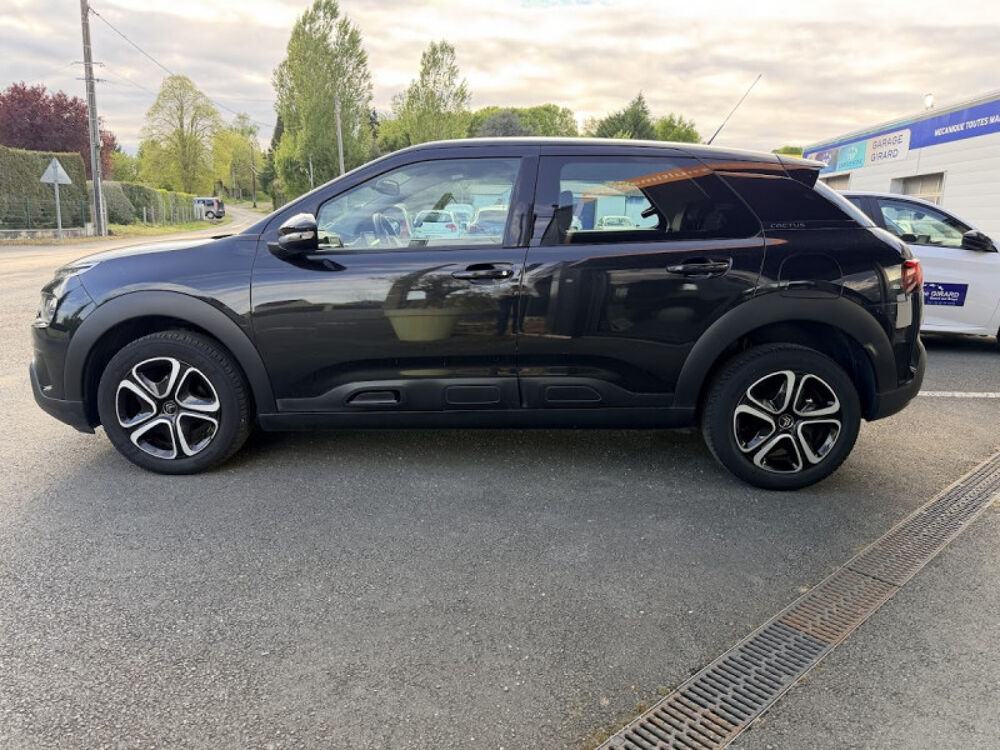 C4 cactus BLUEHDI 100CH S&S FEEL BUSINESS E6.D 2020 occasion 72310 Bess&eacute;-sur-Braye
