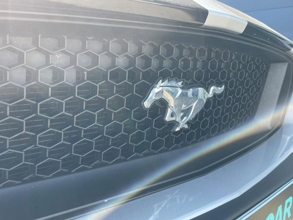 Mustang 5.0 V8 421ch GT BVA6 2017 occasion 33320 Eysines