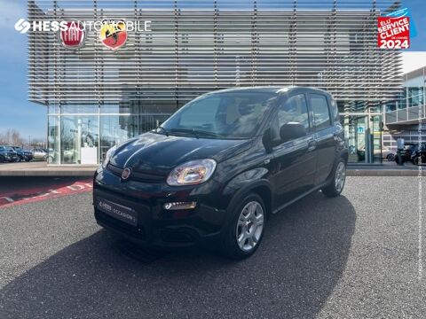 Fiat Panda 1.0 70ch BSG S&S 2024 occasion Saint-Étienne 42000