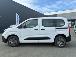 Berlingo M 1.5 BLUEHDI 100CH S&S PLUS 5 PLACES (N1) 2026 occasion 31670 Lab&egrave;ge