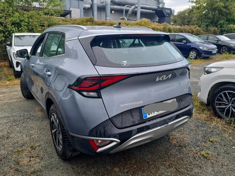 Sportage 1.6 T-GDI 230CH HEV ACTIVE BUSINESS BVA6 4X2 2022 occasion 56530 Qu&eacute;ven