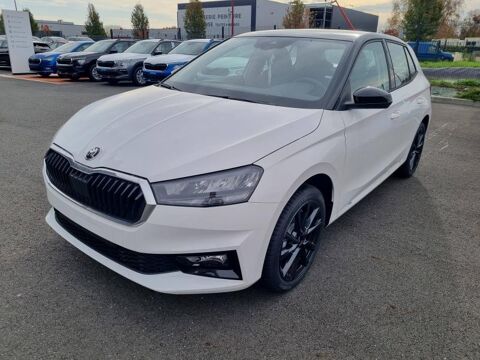Annonce voiture Skoda Fabia 21490 €