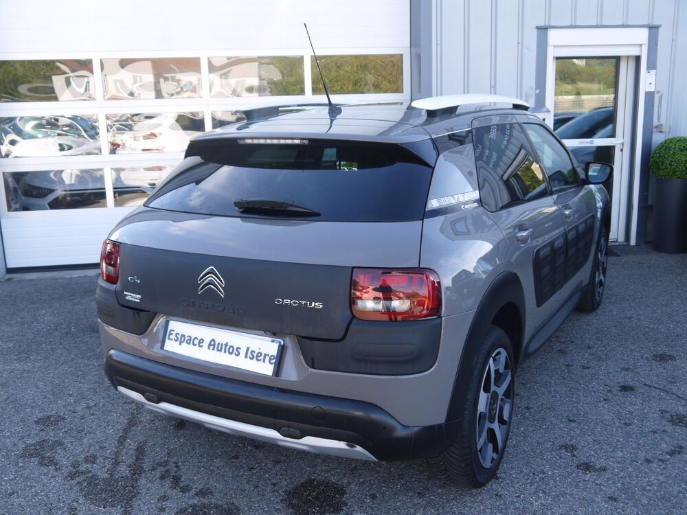 C4 cactus HDI 100 RIP CURL / TOIT PANORAMIQUE 2016 occasion 38260 La C&ocirc;te-Saint-Andr&eacute;