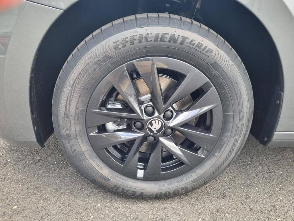 Fabia 1.0 TSI Evo2 116ch Selection DSG7 2025 occasion 24430 Marsac-sur-l'Isle