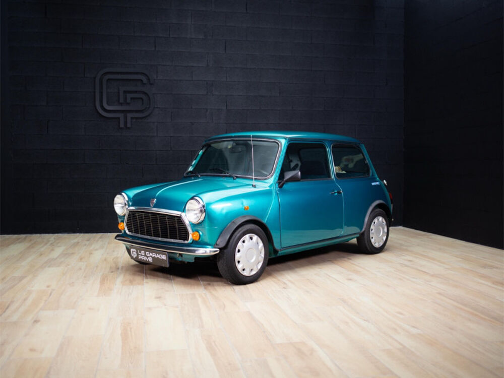 Mini 1300 SEAWAY 1993 occasion 10120 SAINT ANDRE LES VERGERS