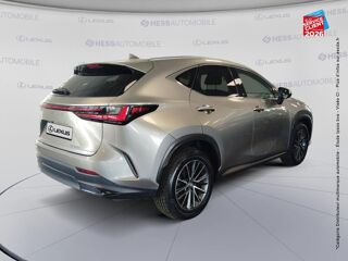 NX 350h Luxe 4WD 2022 occasion 67460 Souffelweyersheim