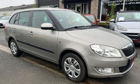 Skoda Fabia 1.2 TSI 105CH ELEGANCE+DSG 2012 occasion Méteren 59270