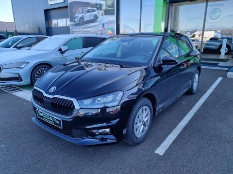 Annonce voiture Skoda Fabia 18990 