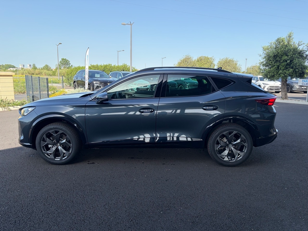 Formentor 2.0 TDI 150CH V DSG7 2026 occasion 81000 Albi