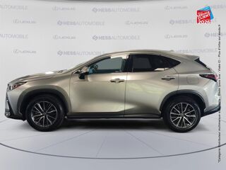 NX 350h Luxe 4WD 2022 occasion 67460 Souffelweyersheim