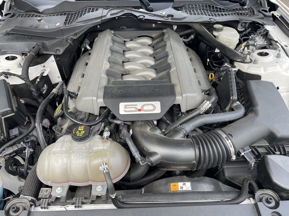 Mustang 5.0 V8 421CH GT BVA6 2017 occasion 61000 Alen&ccedil;on