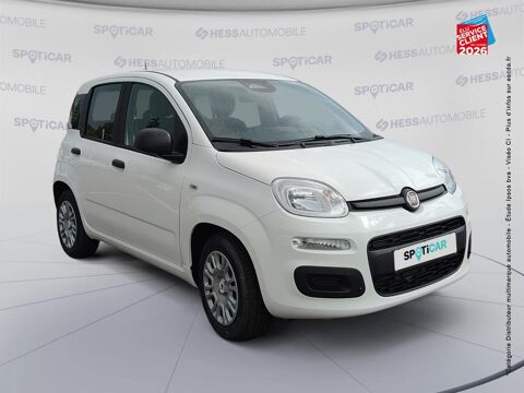 Panda Pandina 1.0 65ch BSG S&S Hybrid Ic&ocirc;ne 2026 occasion 90000 Belfort