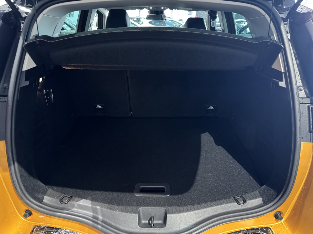 Scenic IV 1.7 BLUE DCI 150CH BUSINESS INTENS 2019 occasion 12000 RODEZ