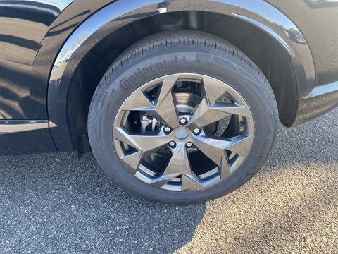 Formentor 2.0 TDI 150CH V DSG7 2026 occasion 31670 Lab&egrave;ge