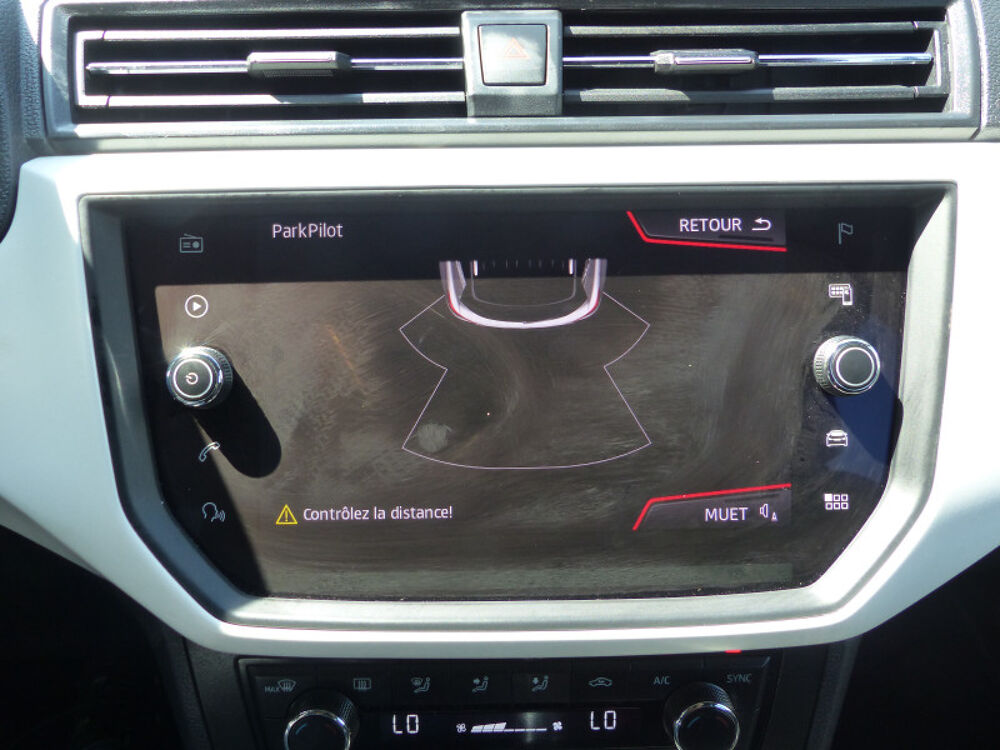 Arona 1.0 ECOTSI 115CH START/STOP XCELLENCE DSG EURO6D-T 2020 occasion 77144 Mont&eacute;vrain