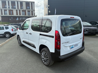 Berlingo M 1.5 BLUEHDI 100CH S&S PLUS 5 PLACES (N1) 2026 occasion 31670 Lab&egrave;ge