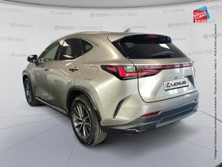 NX 350h Luxe 4WD 2022 occasion 67460 Souffelweyersheim