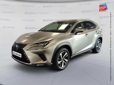 NX 300h 4WD Executive Innovation MY21 2021 occasion 67460 Souffelweyersheim