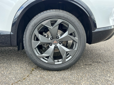 Formentor 2.0 TDI 150CH V DSG7 2026 occasion 31670 Lab&egrave;ge