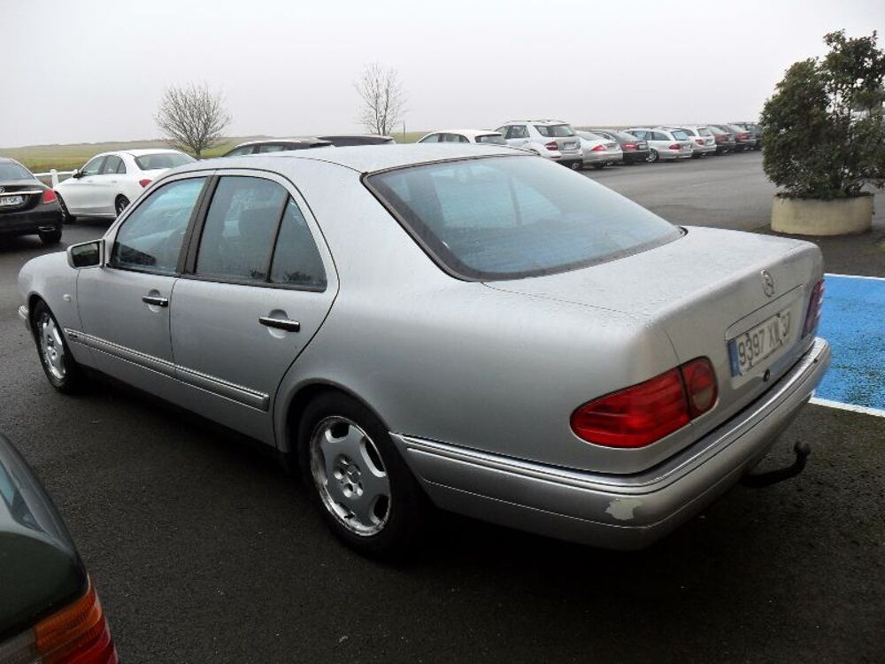 Classe E DTURBO AVANTGARDE 1998 occasion 85400 Sainte-Gemme-la-Plaine