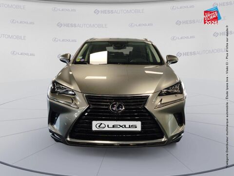 NX 300h 4WD Executive Innovation MY21 2021 occasion 67460 Souffelweyersheim