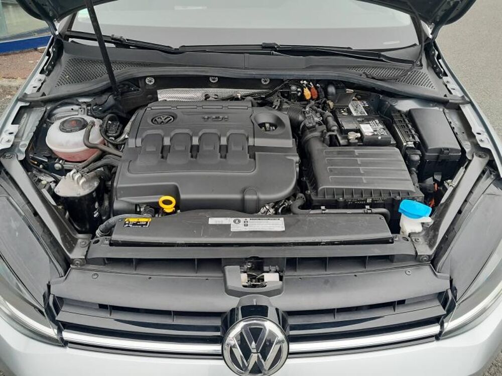 Golf SW 1.6 TDI 115ch FAP Confortline Business DSG7 Euro6d-T 2019 occasion 64600 Anglet