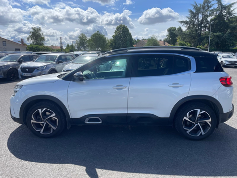 C5 aircross BLUEHDI 130CH S&S SHINE 2019 occasion 81000 Albi