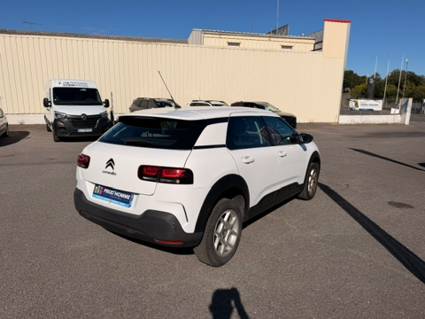 C4 cactus BLUEHDI 100CH S&S FEEL BUSINESS E6.D-TEMP 2019 occasion 16400 Puymoyen