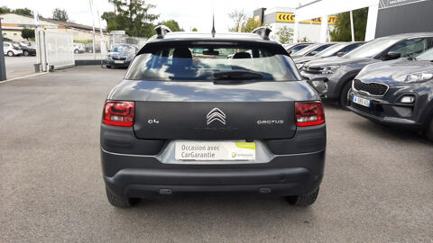 C4 cactus BLUEHDI 100 FEEL BUSINESS S&S 82G 2017 occasion 08000 Warcq