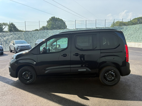 Berlingo M 1.5 BLUEHDI 130CH MAX BVA8 2026 occasion 81000 Albi