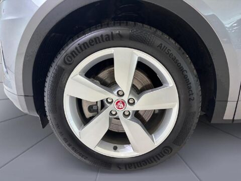 E-PACE P300e PHEV R-Dynamic SE BVA AWD 2023 occasion 67460 Souffelweyersheim