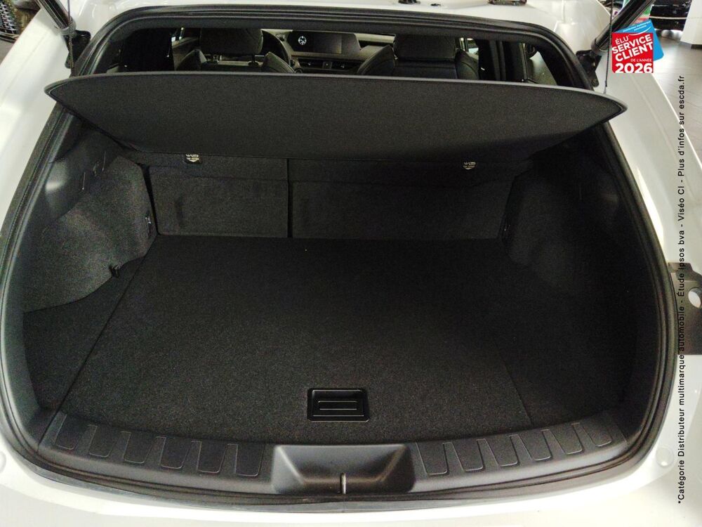 UX 250h 2WD F SPORT MY22 2022 occasion 67460 Souffelweyersheim