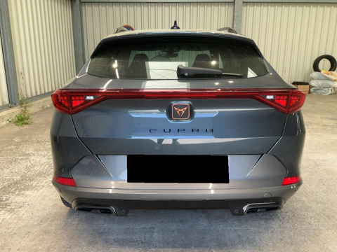 Formentor 2.0 TDI 150CH DSG7 4DRIVE 2021 occasion 38150 Salaise-sur-Sanne