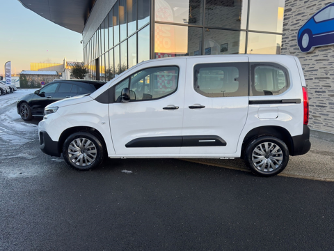 Berlingo TAILLE M - 1.5 BLUEHDI 130CH S&S PLUS 5 PLACES 2025 occasion 49070 Saint-L&eacute;ger-de-Lini&egrave;res