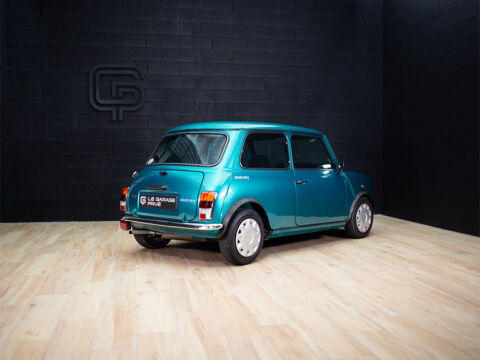 Mini 1300 SEAWAY 1993 occasion 10120 SAINT ANDRE LES VERGERS